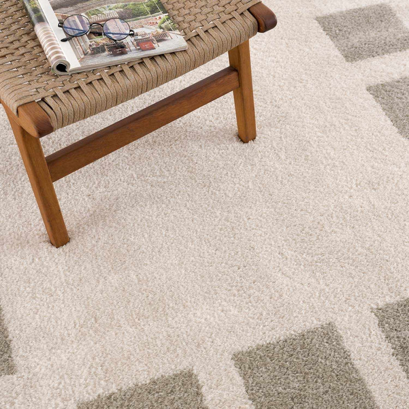 Beynon Gray Washable Area Rug by Boutique Rugs