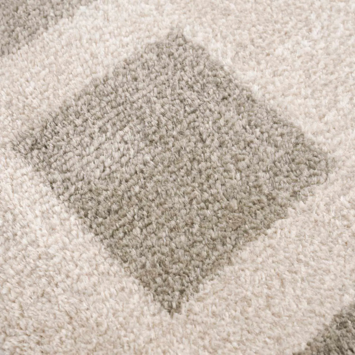 Beynon Gray Washable Area Rug by Boutique Rugs