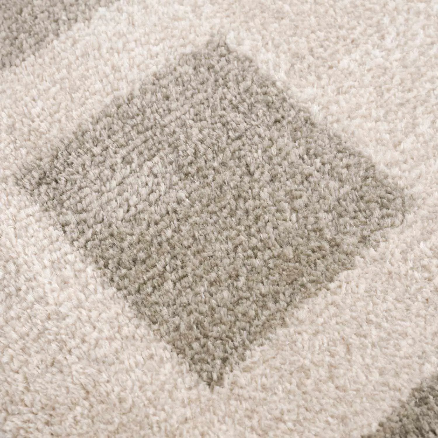 Beynon Gray Washable Area Rug by Boutique Rugs