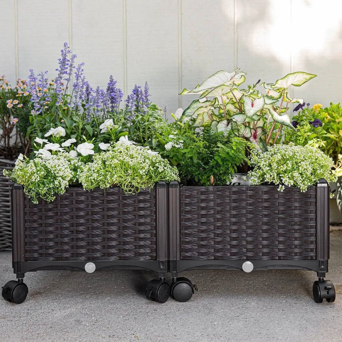 Modern 2-Piece Indoor Outdoor Raised Garden Planter Box on Wheels in PP Rattan by HomePacific