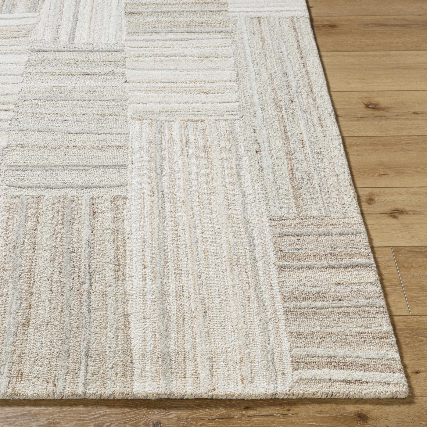 Ashtyn Area Rug by Boutique Rugs