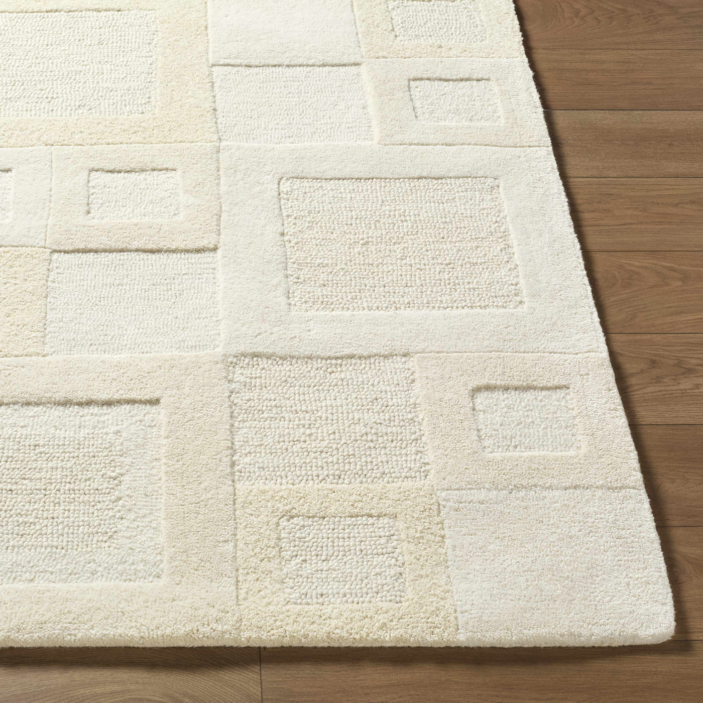 Botham Area Rug by Boutique Rugs
