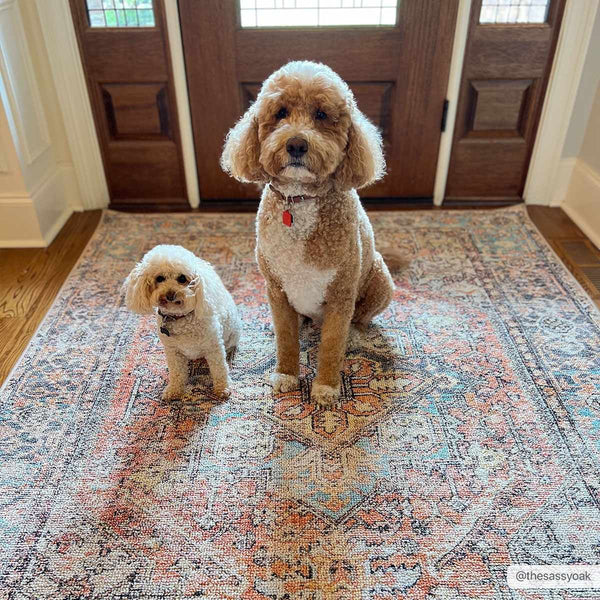 Beck Peach Washable Area Rug, photo 2 of 21