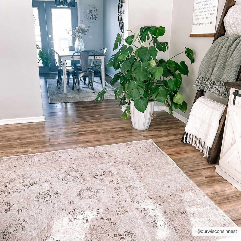 Bethany Washable Area Rug by Hauteloom