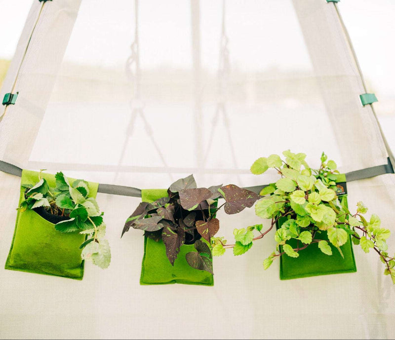 Bloom Hanging Planters, photo 10 of 10