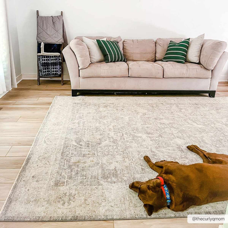 Binx Thick Luxe Statement Rug by Boutique Rugs