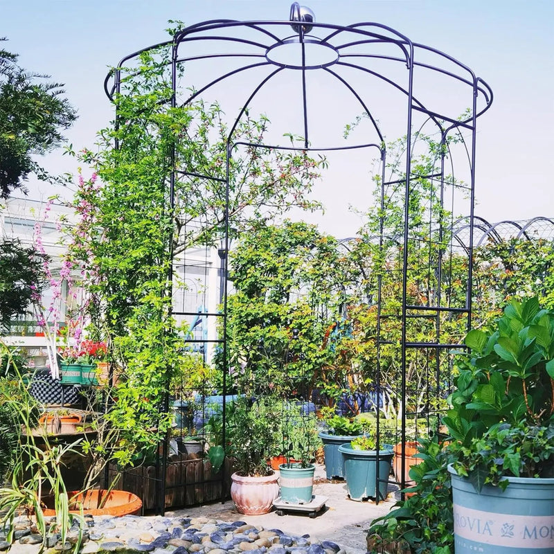 Birdcage Shape Gazebo for Climbing Plants and Wedding Ceremony Decoration by DirectDeals