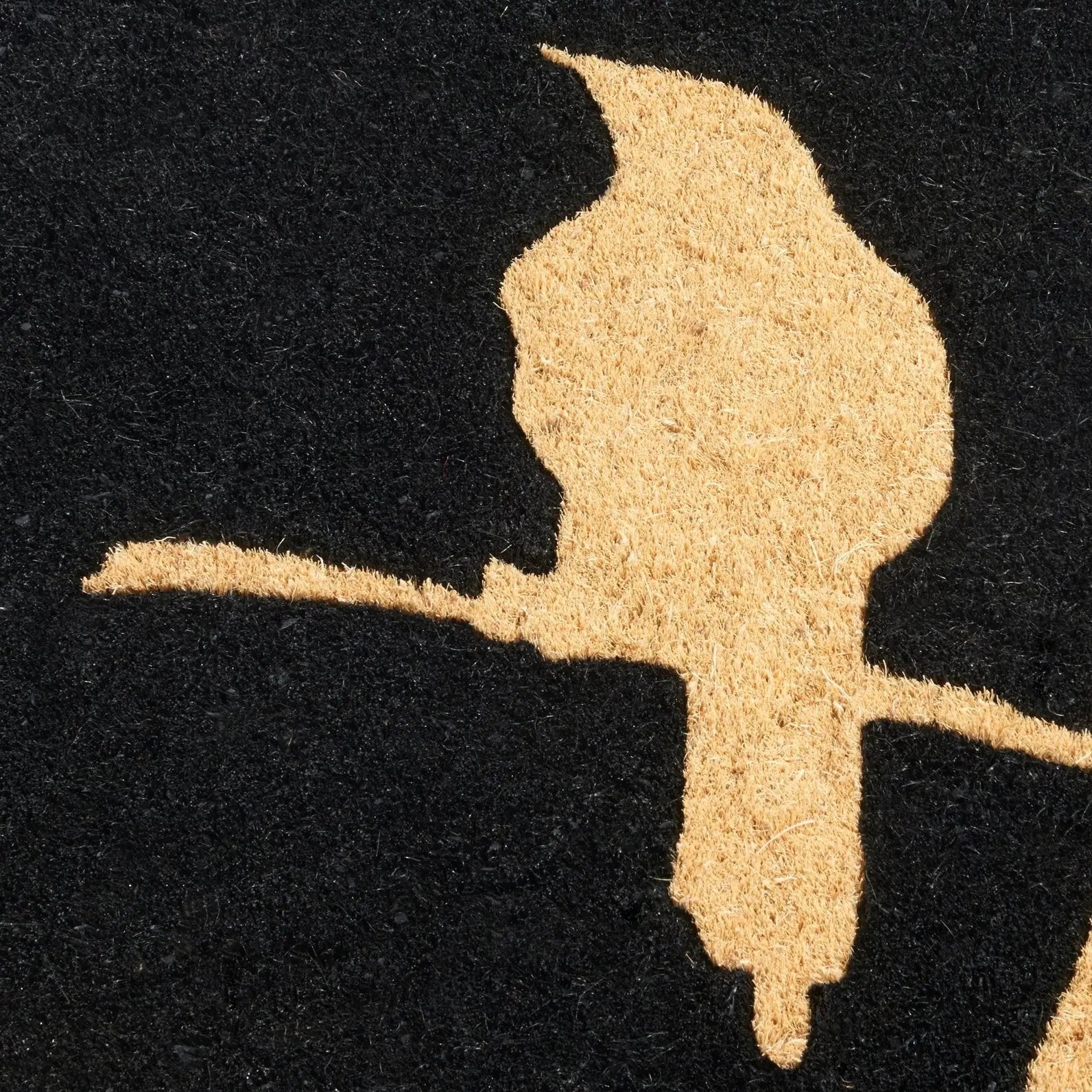 Birds On Branch - Black Coir Doormat by Fab Habitat