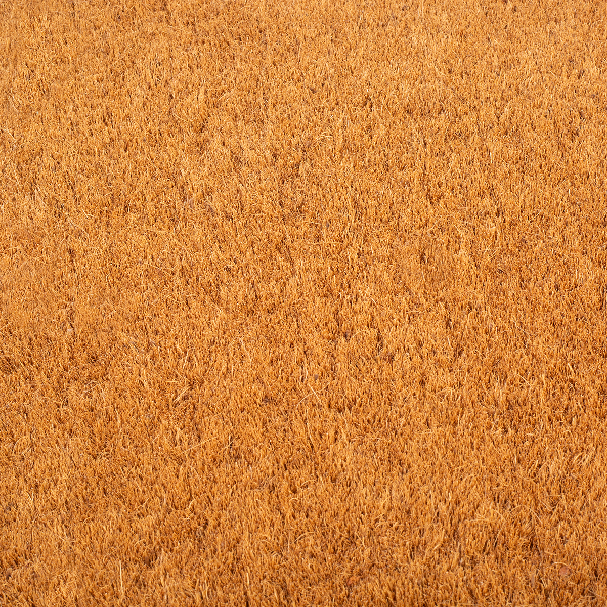 Black Border Coir Doormat, photo 7 of 24