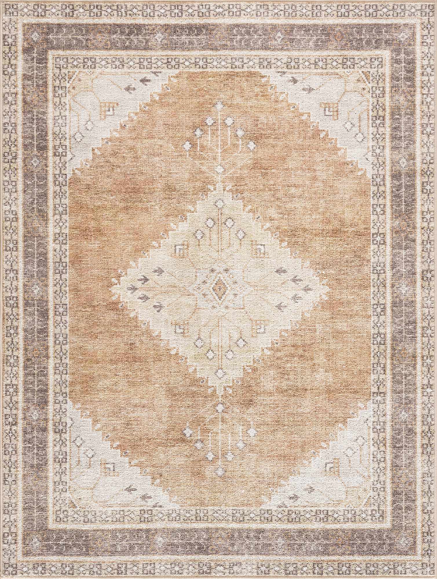 Albas Washable Area Rug by Hauteloom