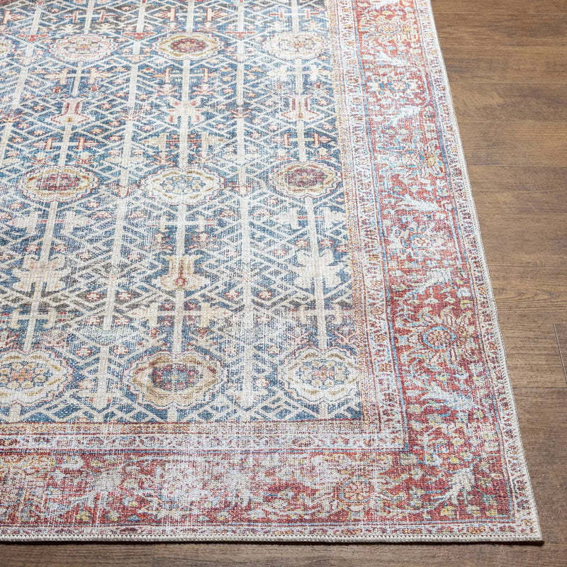 Rust Catadupa Distressed Washable Area Rug - Clearance by Boutique Rugs