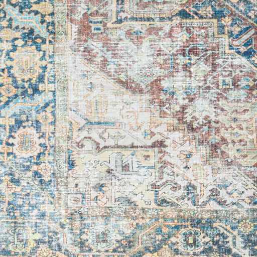 Blue Catigpian Distressed Washable Area Rug - Clearance by Boutique Rugs