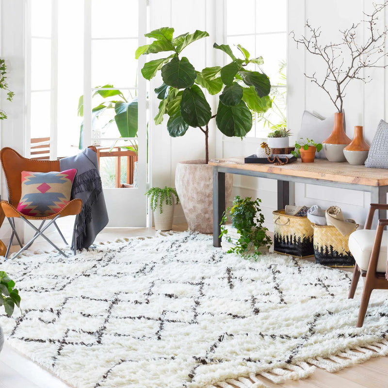 Catoosa White/Black Trellis Wool Rug - Clearance by Boutique Rugs
