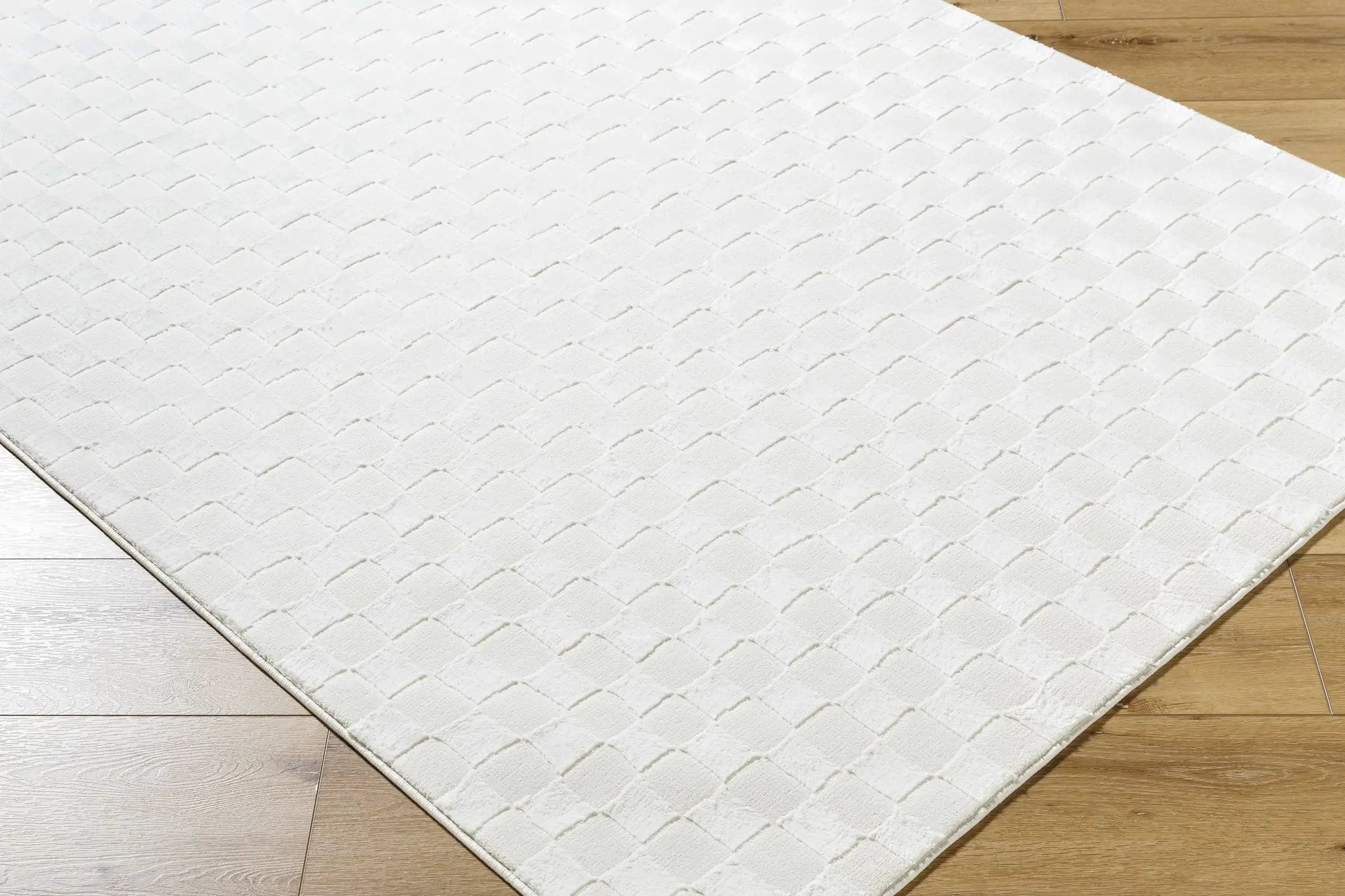Carina Light 3D Checkered Washable Area Rug by Boutique Rugs