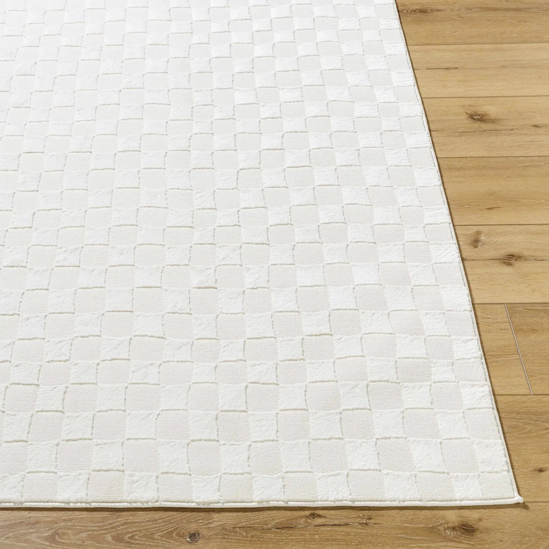 Carina Light 3D Checkered Washable Area Rug by Boutique Rugs