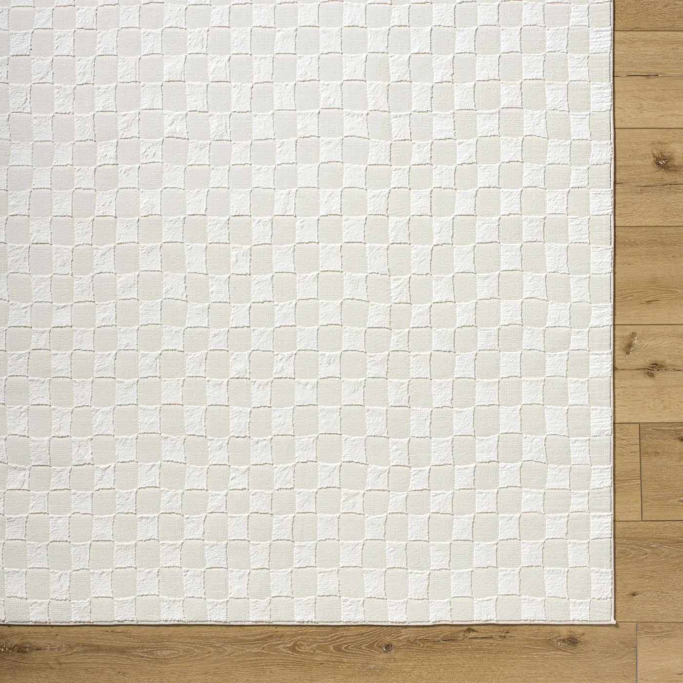 Carina Light 3D Checkered Washable Area Rug by Boutique Rugs