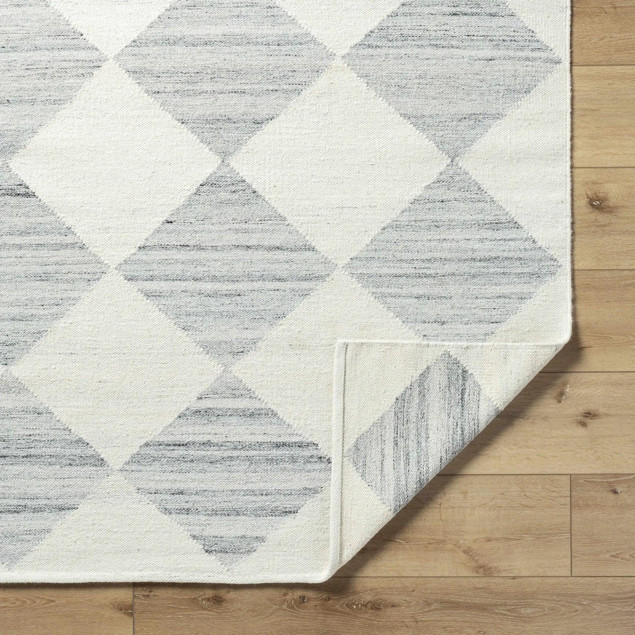 Andrin Light Gray Area Rug by Boutique Rugs