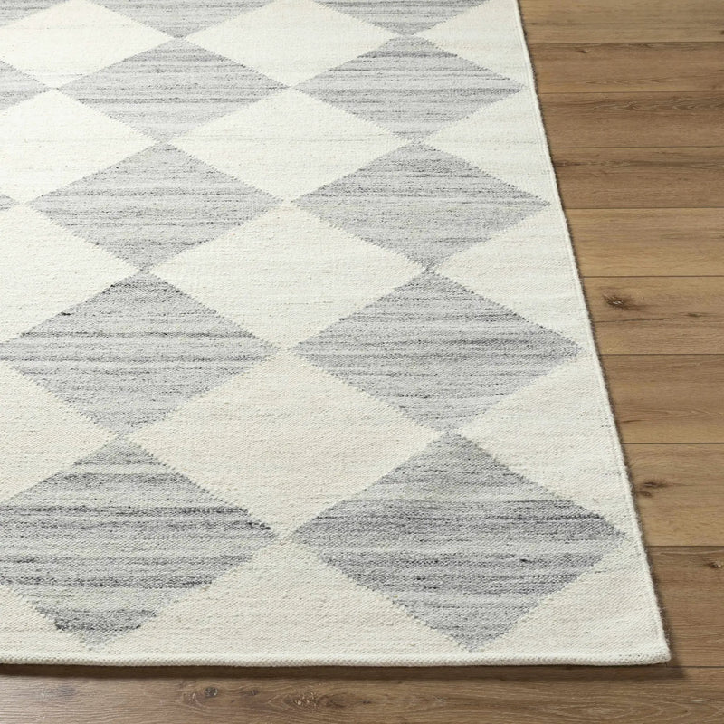 Andrin Light Gray Area Rug by Boutique Rugs