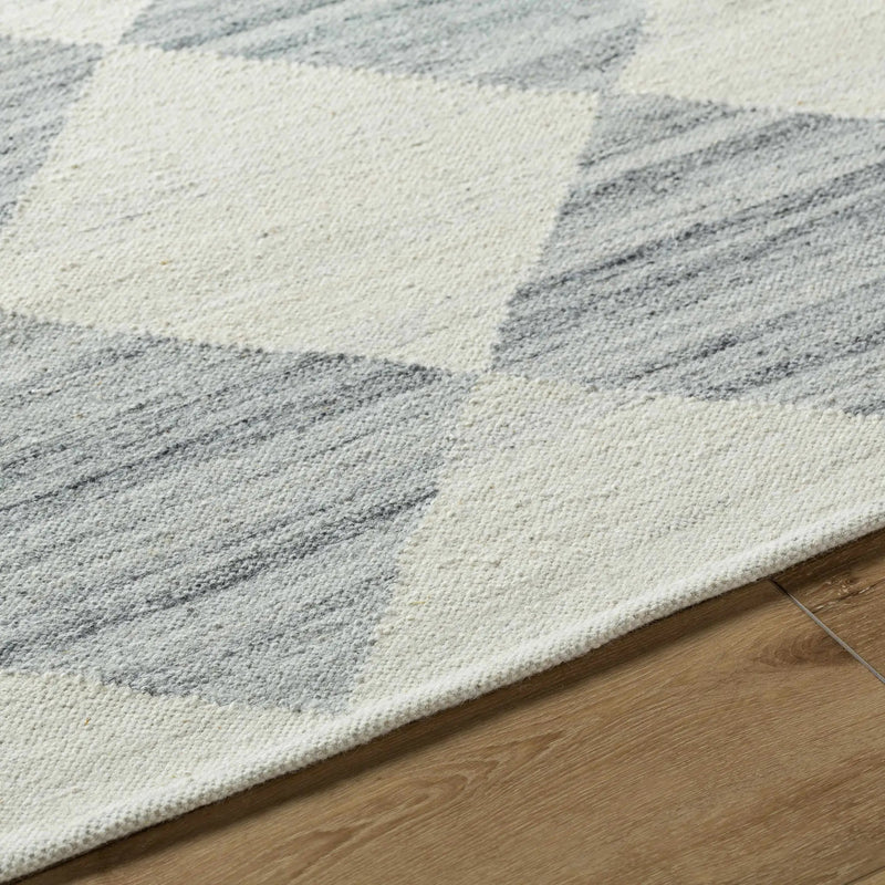 Andrin Light Gray Area Rug by Boutique Rugs