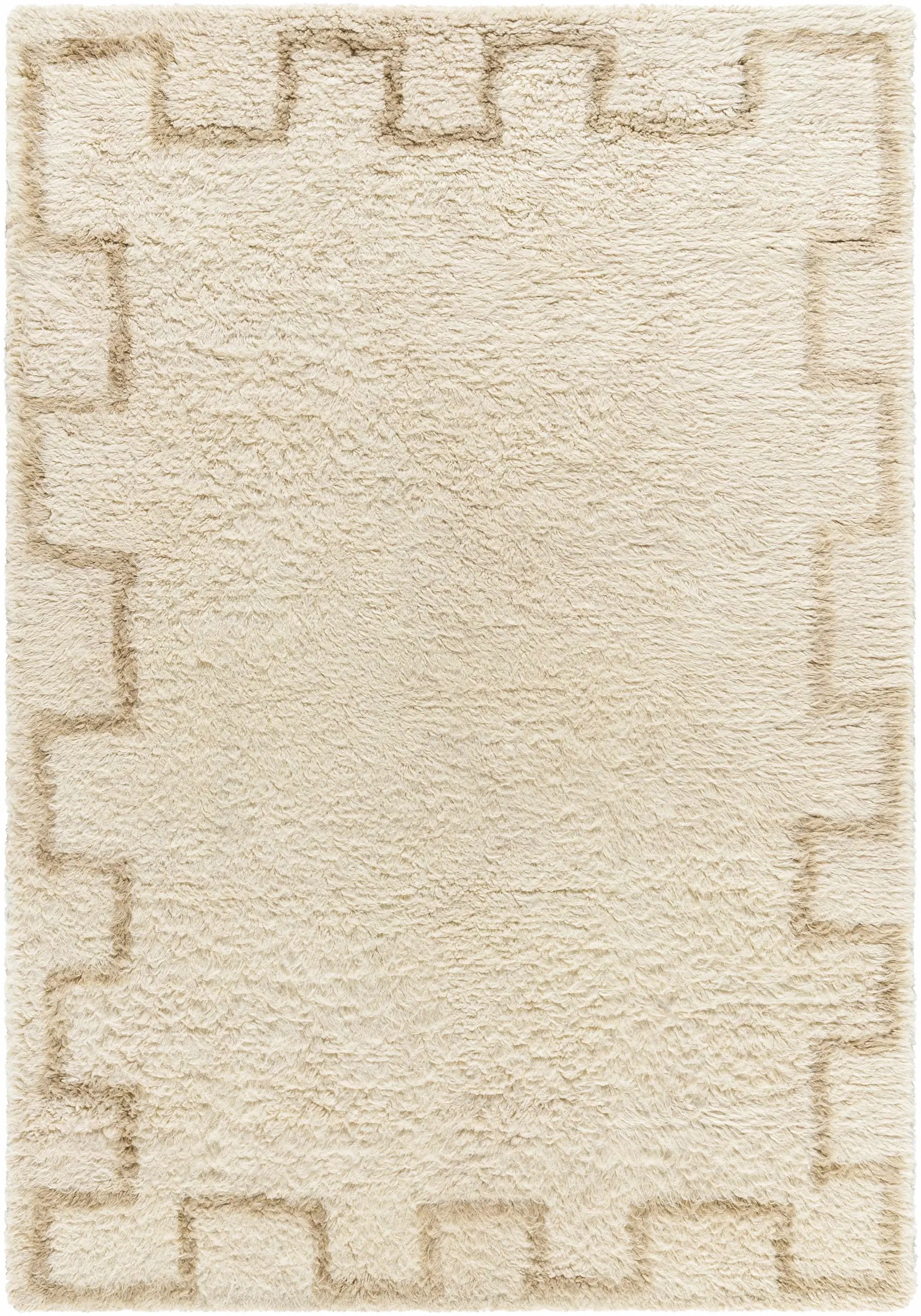 Ciniod Area Rug by Boutique Rugs