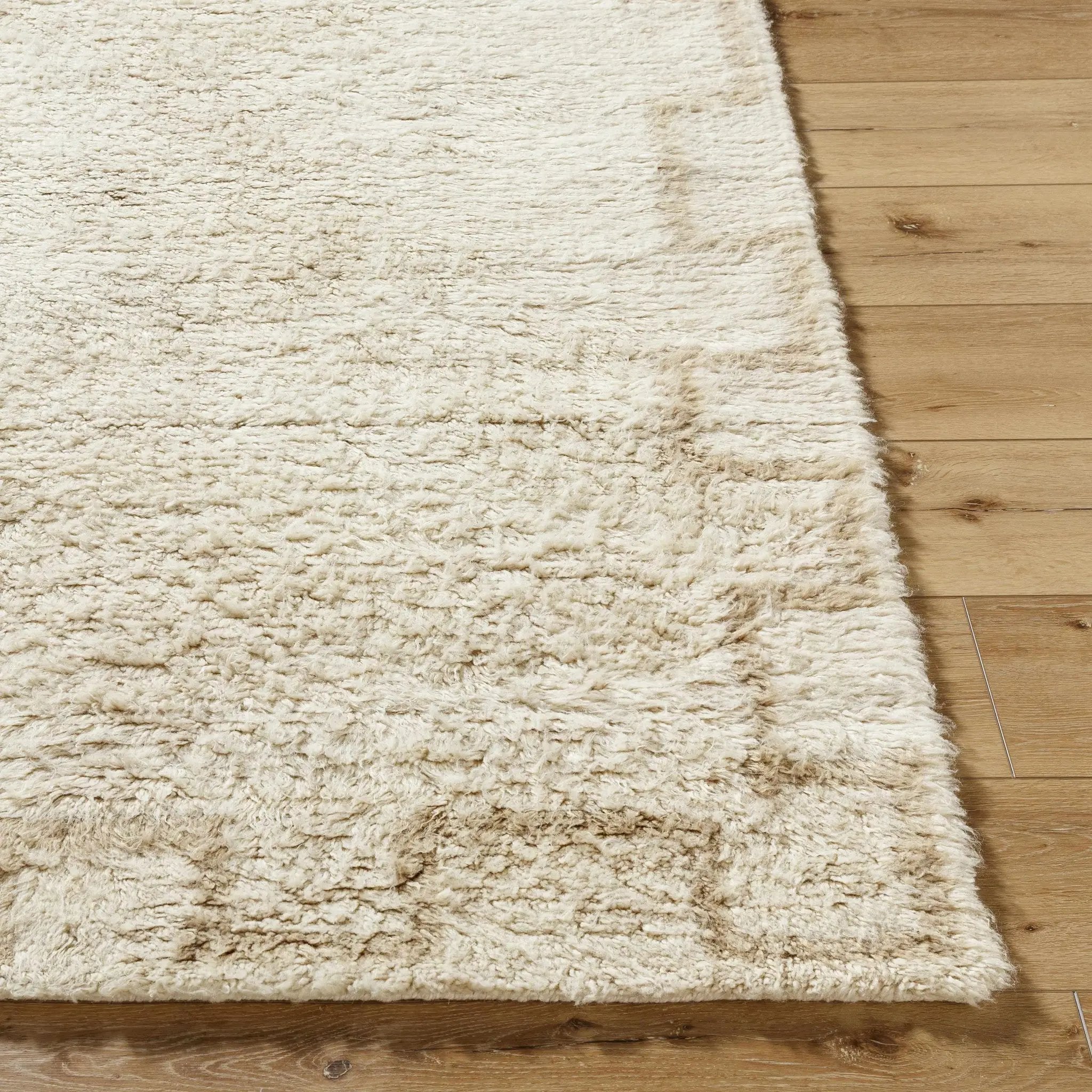 Ciniod Area Rug by Boutique Rugs