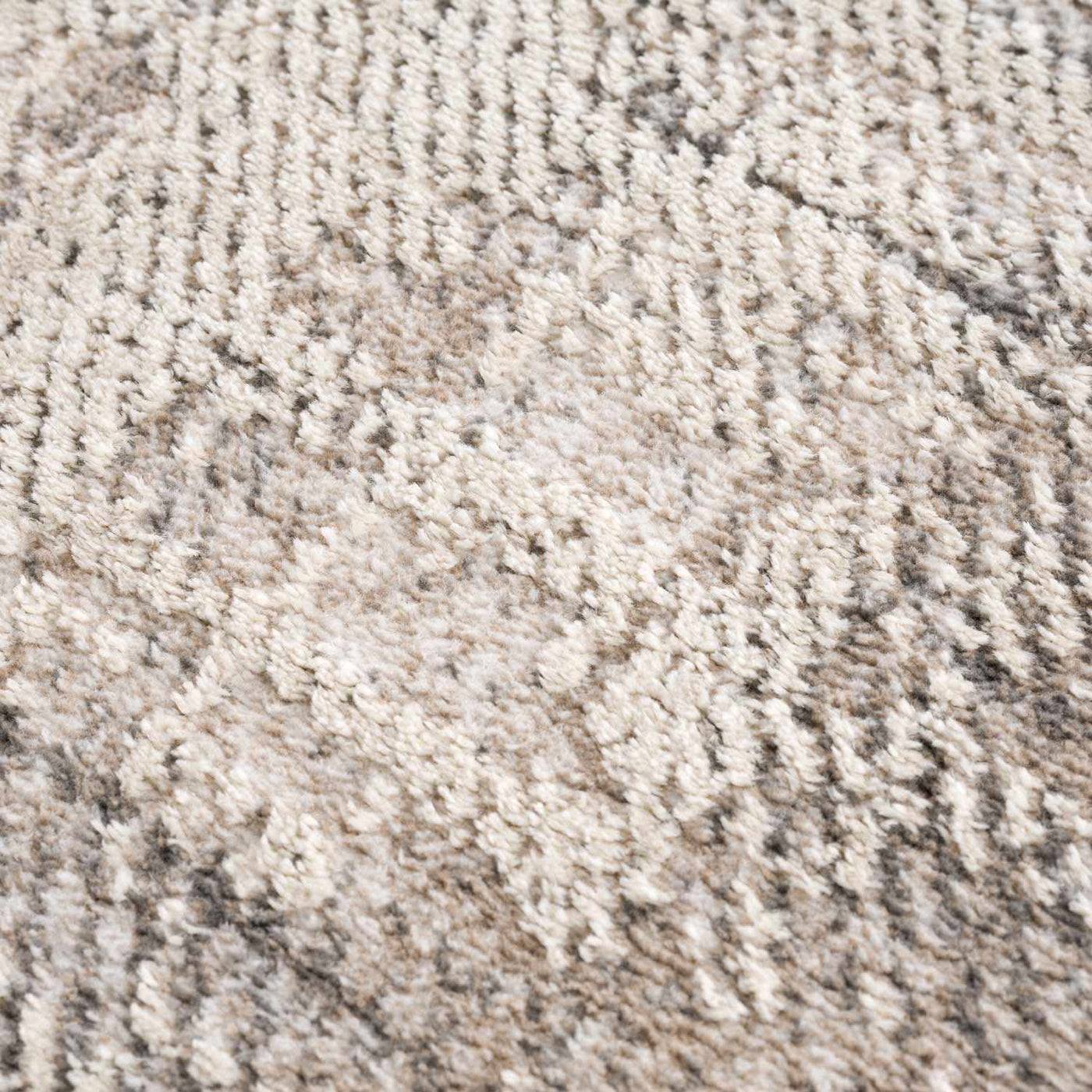 Colson Sage Area Rug by Boutique Rugs