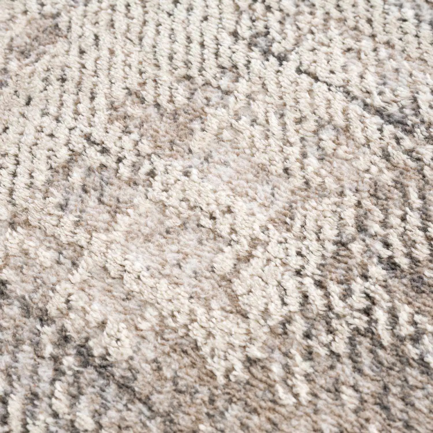 Colson Sage Area Rug by Boutique Rugs