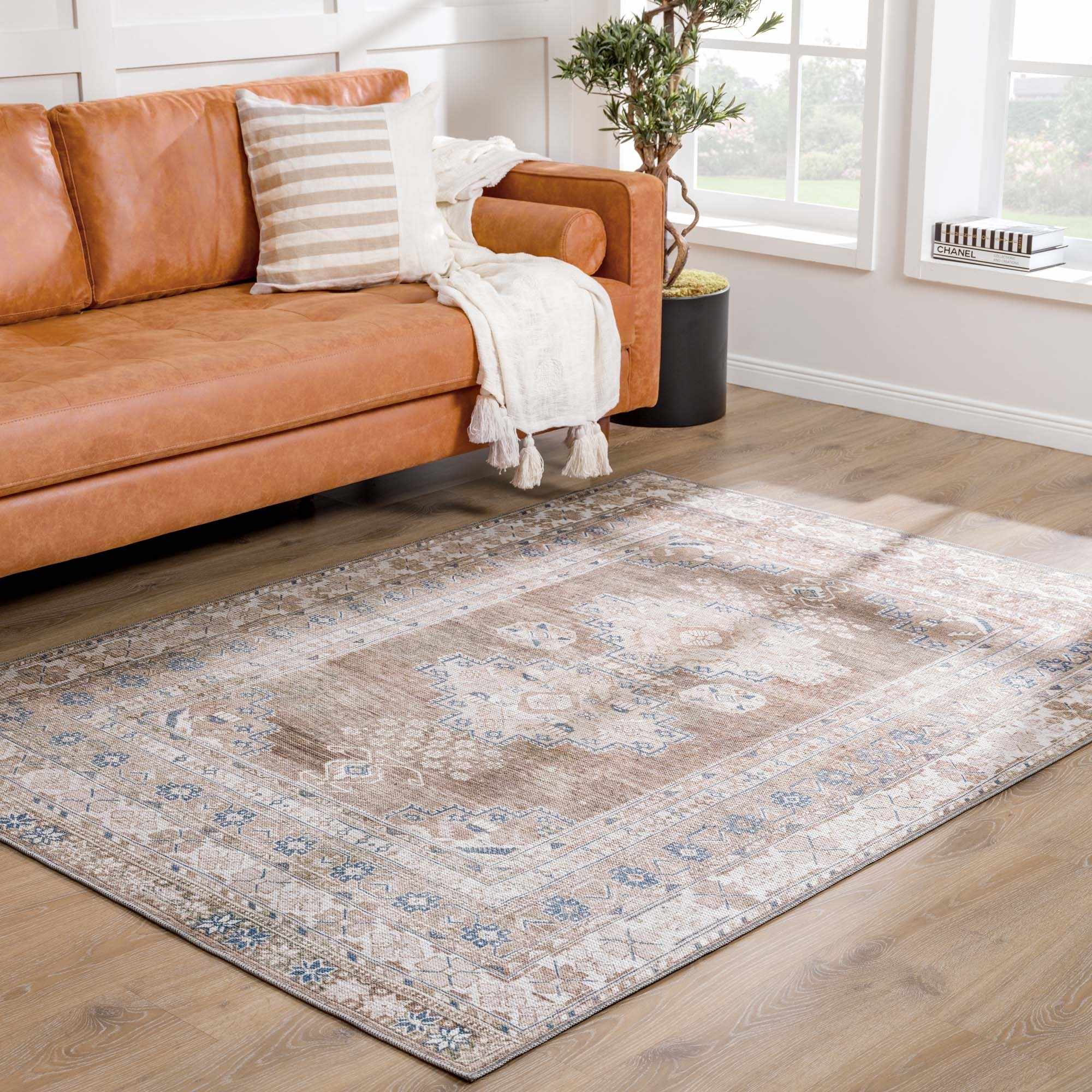 Baltinglass Washable Area Rug by Hauteloom