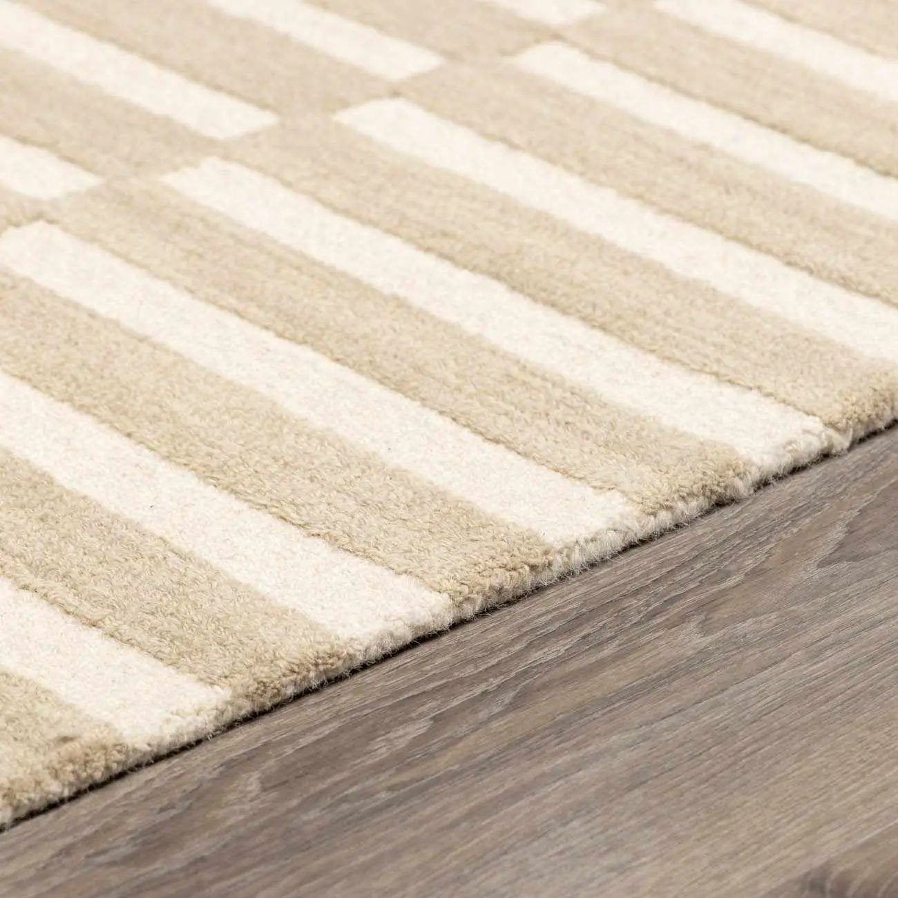 Idaho Broken-Striped Beige Area Rug by Boutique Rugs