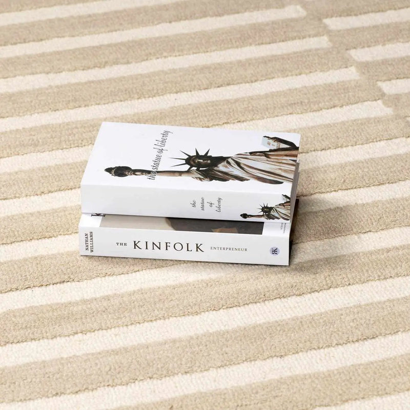 Idaho Broken-Striped Beige Area Rug by Boutique Rugs