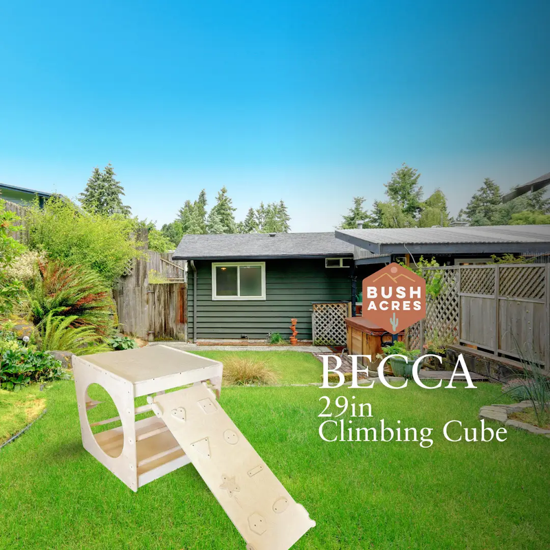 BECCA- 29in Climbing Cube by Bush Acres