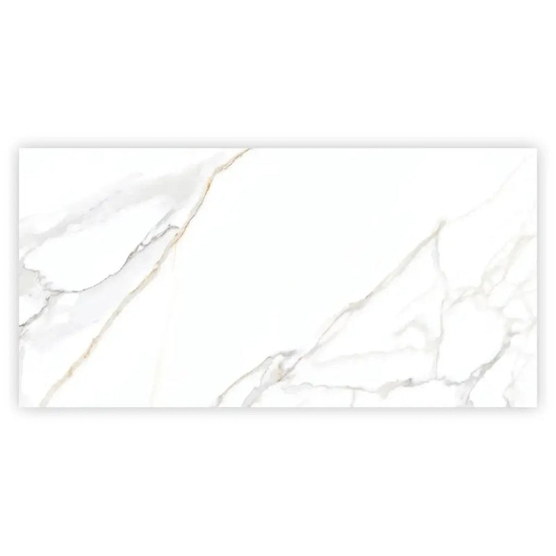 Bright White Gold 24x48 Polished Porcelain Large Format Tile (2 pack, 15.5 sq ft/case) by Apollo Tile