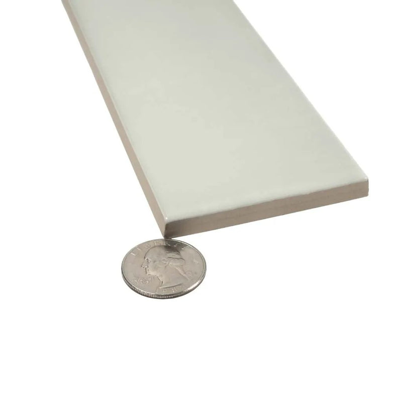 Silken Tea Green 2.6x16 Glossy Ceramic Subway Tile (38 pack, 10.76 sq ft/case) by Apollo Tile