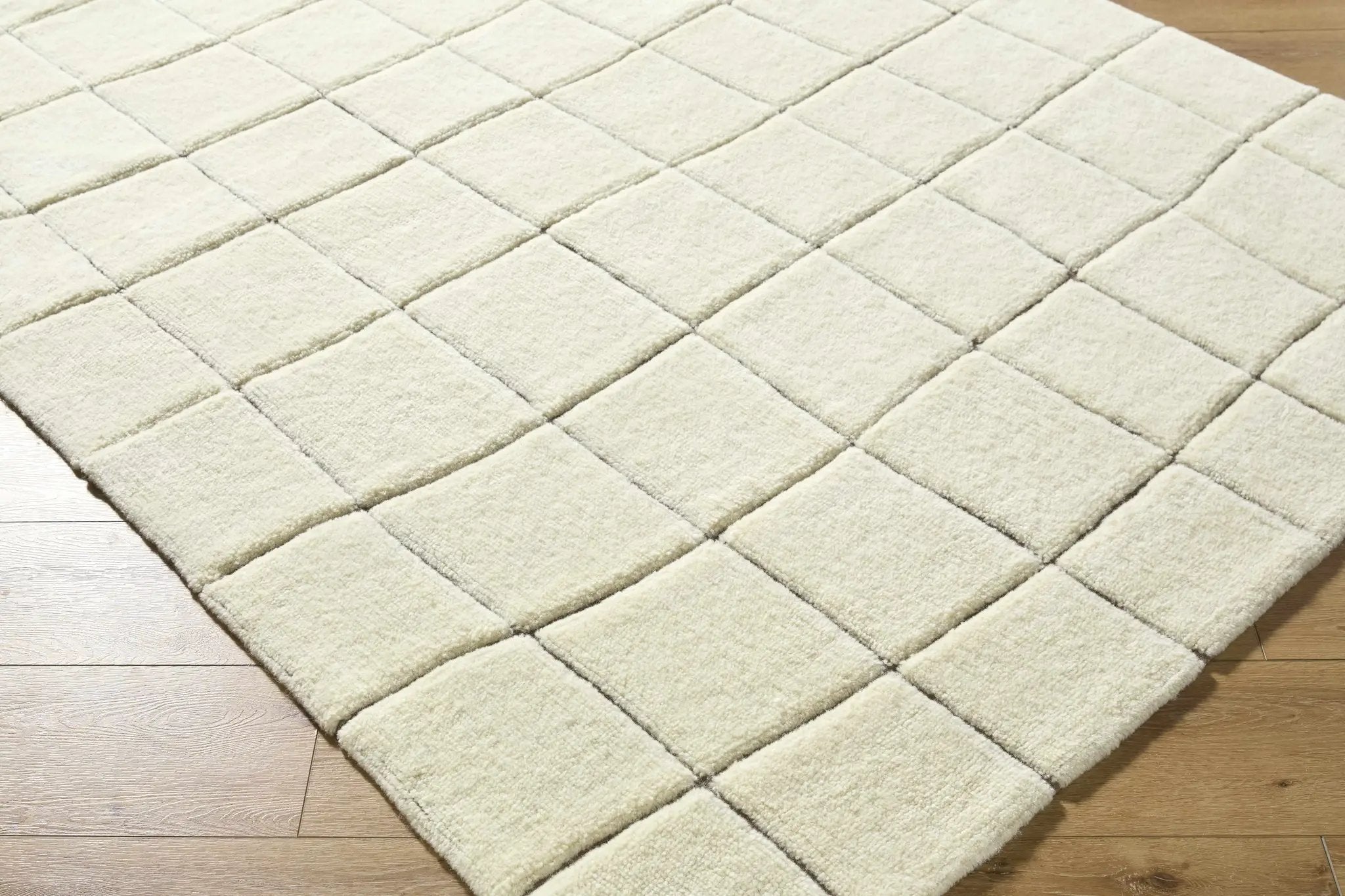 Caolan Washable Wool Rug by Boutique Rugs
