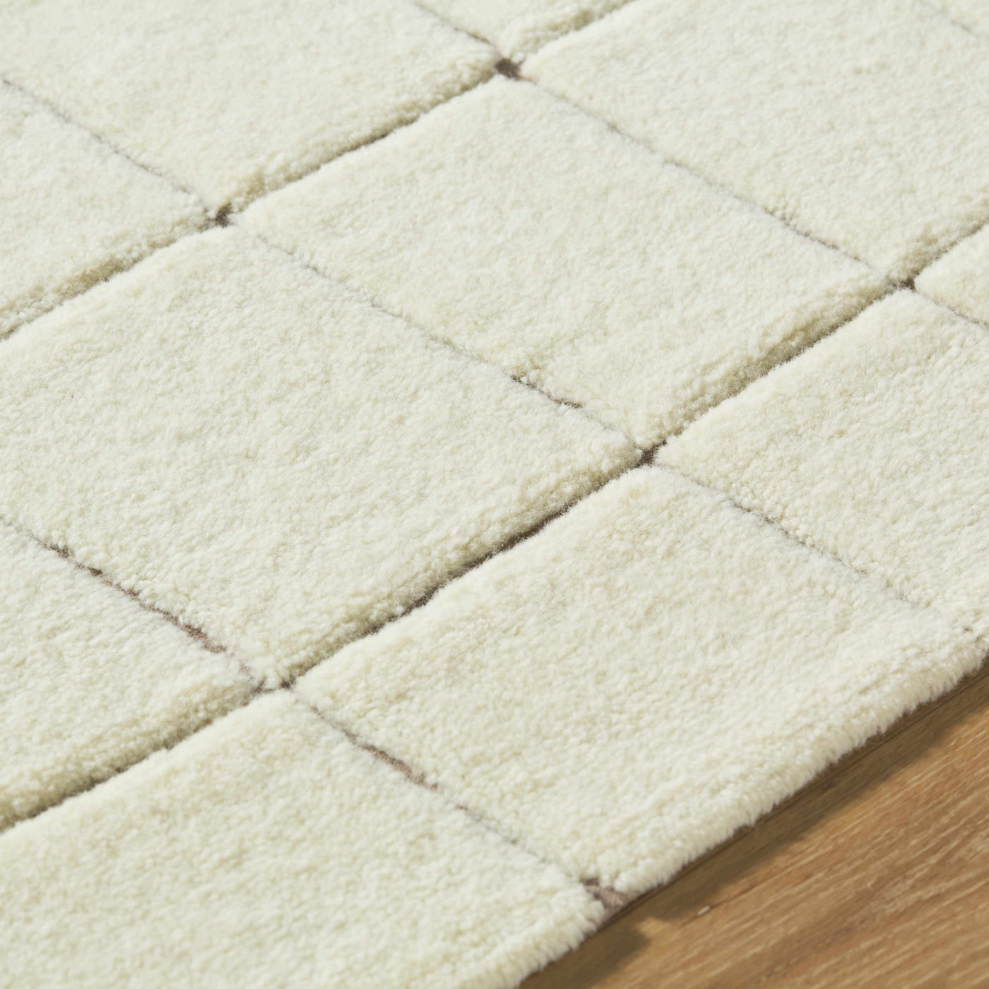 Caolan Washable Wool Rug by Boutique Rugs