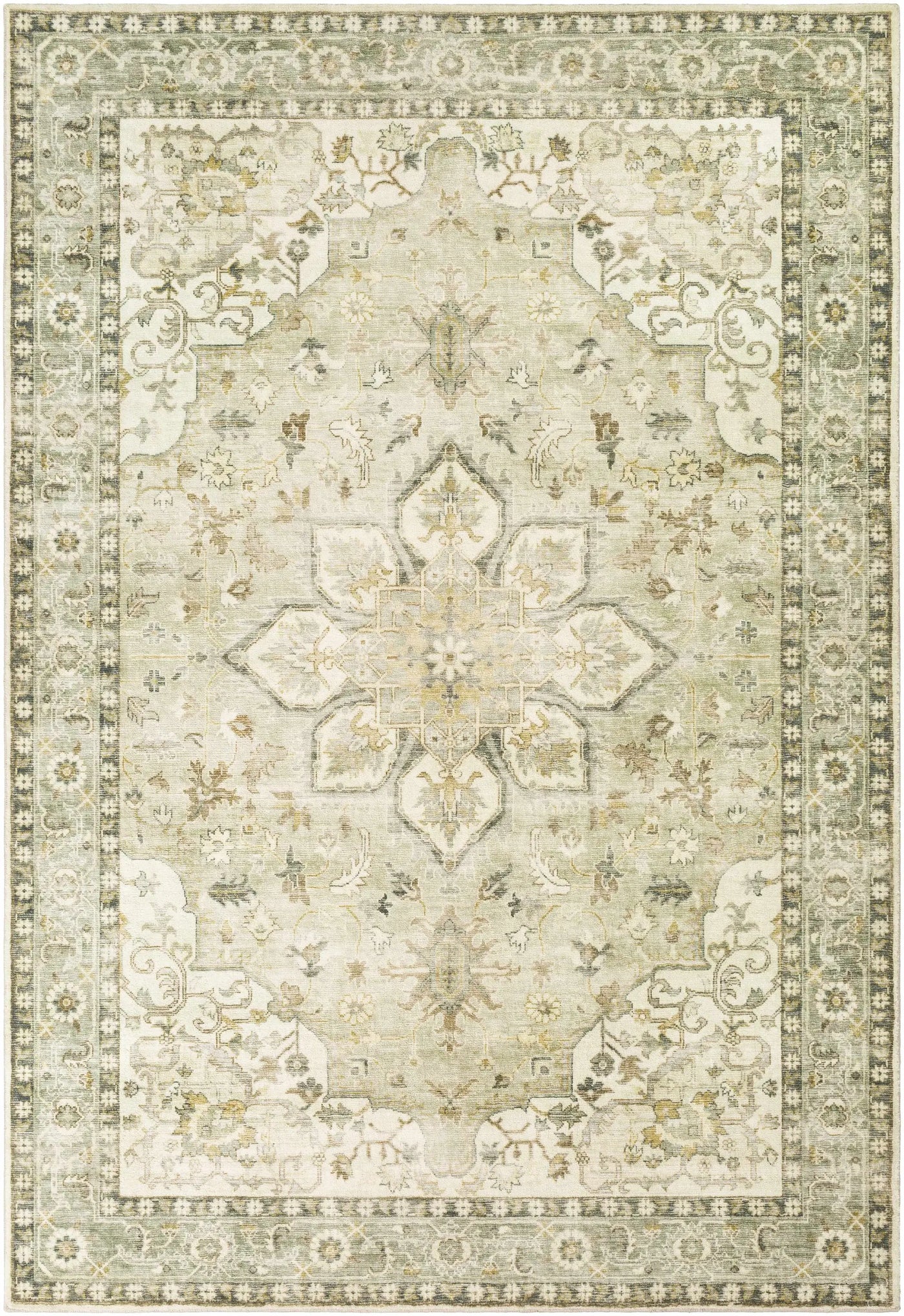 Crondall Sage Traditional Area Rug by Boutique Rugs