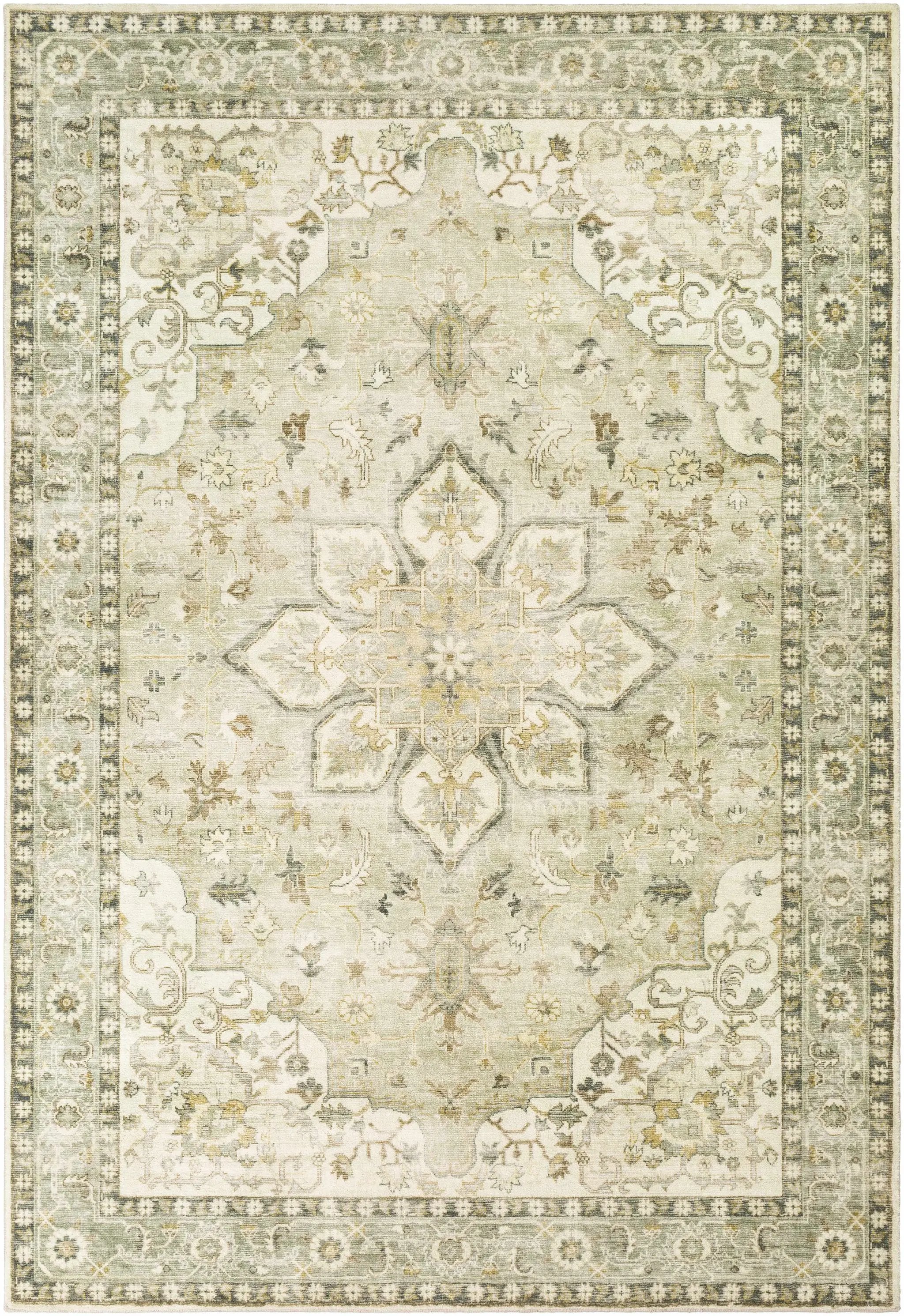 Crondall Sage Traditional Area Rug by Boutique Rugs