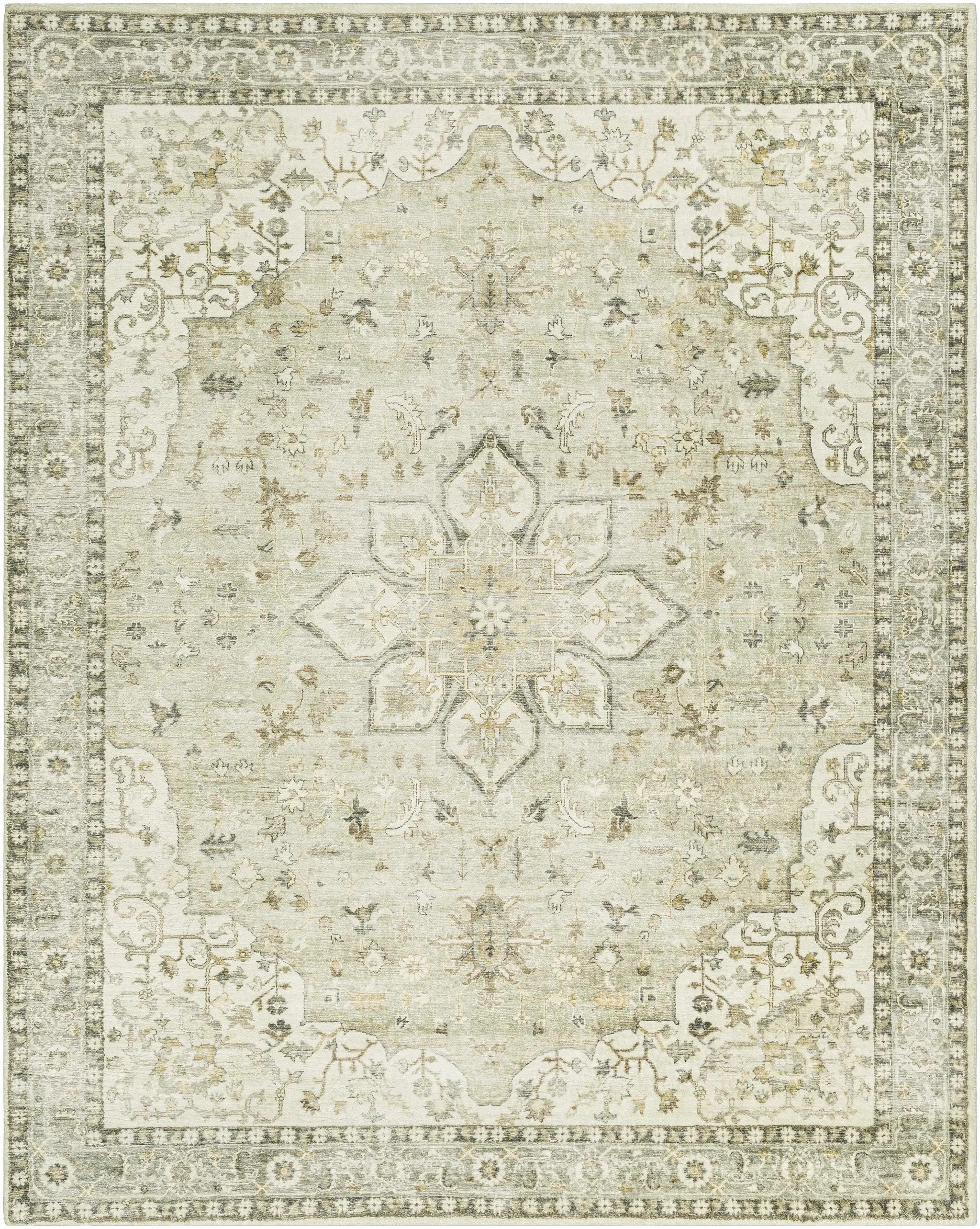 Crondall Sage Traditional Area Rug by Boutique Rugs