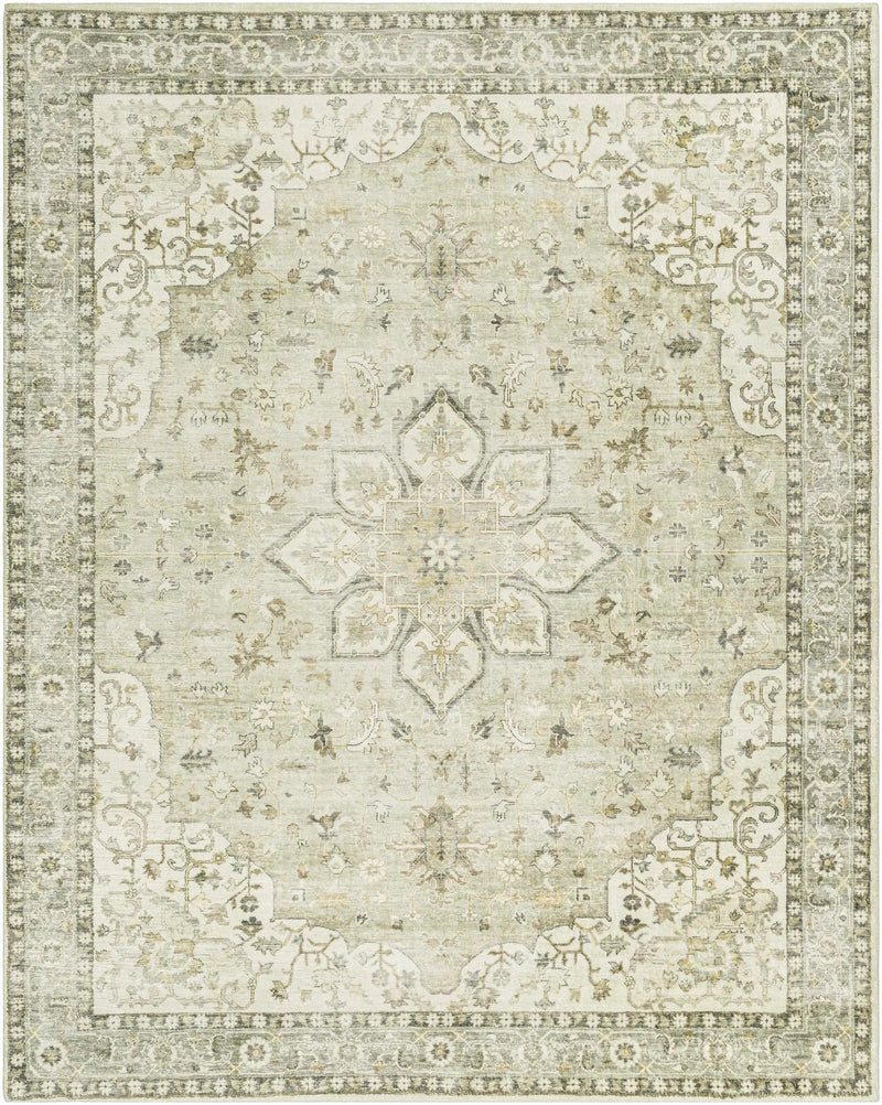 Crondall Sage Traditional Area Rug by Boutique Rugs