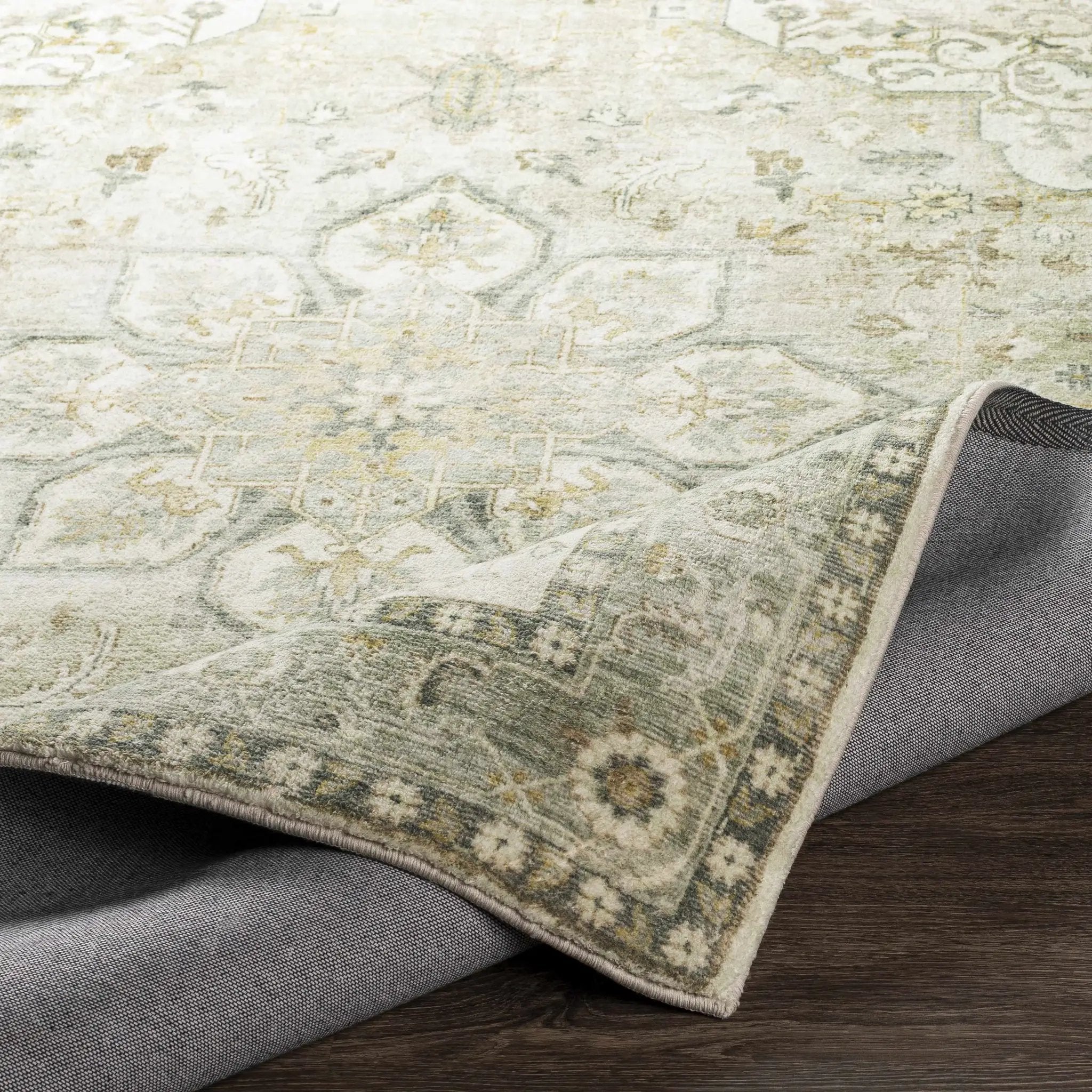 Crondall Sage Traditional Area Rug by Boutique Rugs