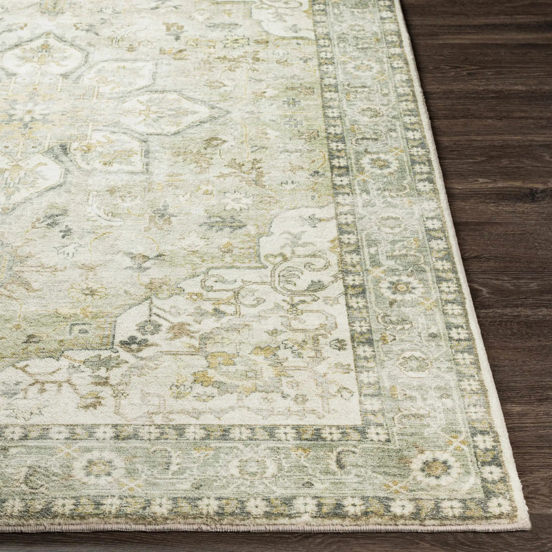 Crondall Sage Traditional Area Rug by Boutique Rugs