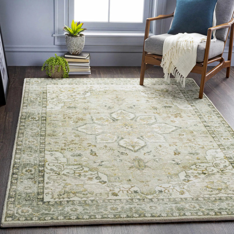 Crondall Sage Traditional Area Rug by Boutique Rugs