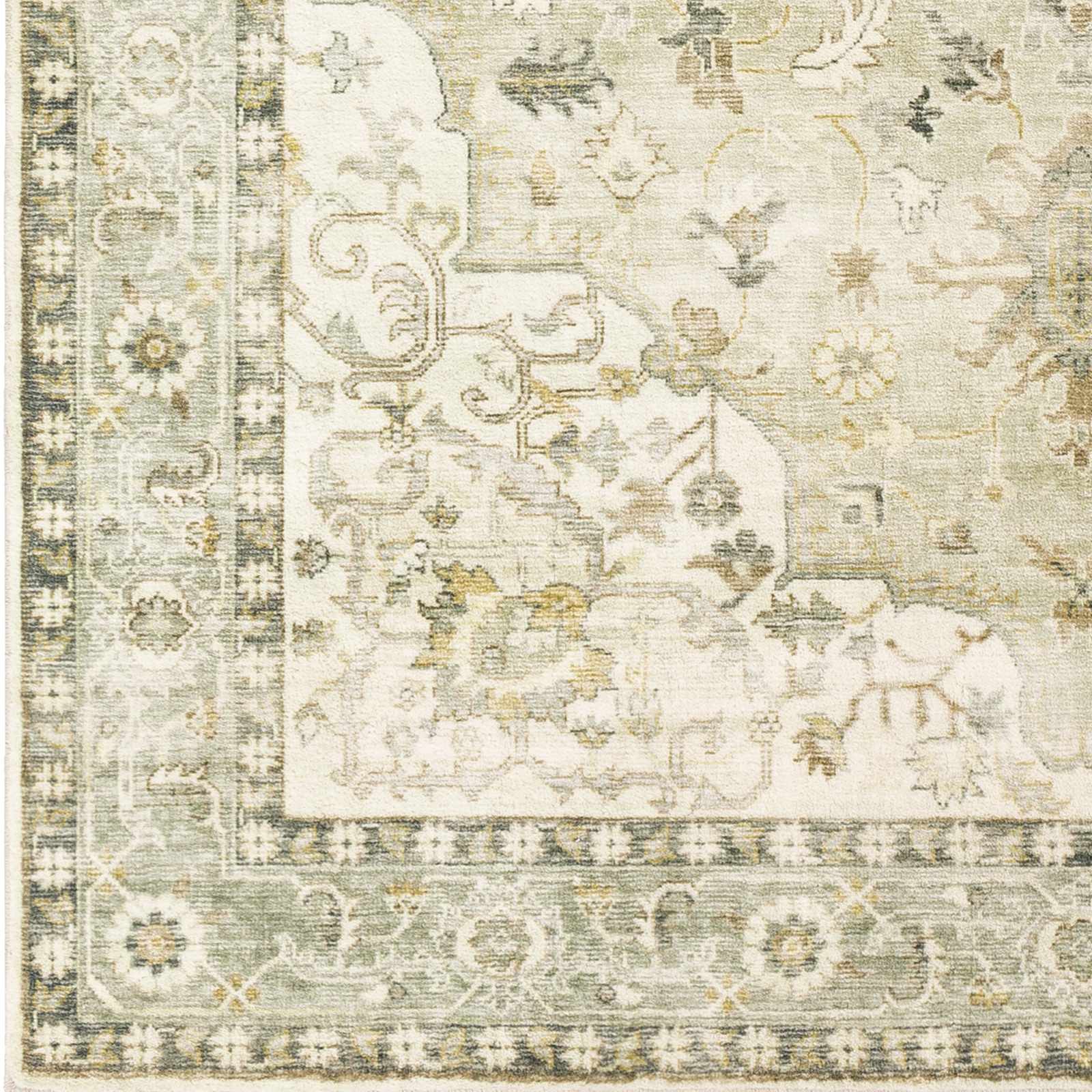 Crondall Sage Traditional Area Rug by Boutique Rugs