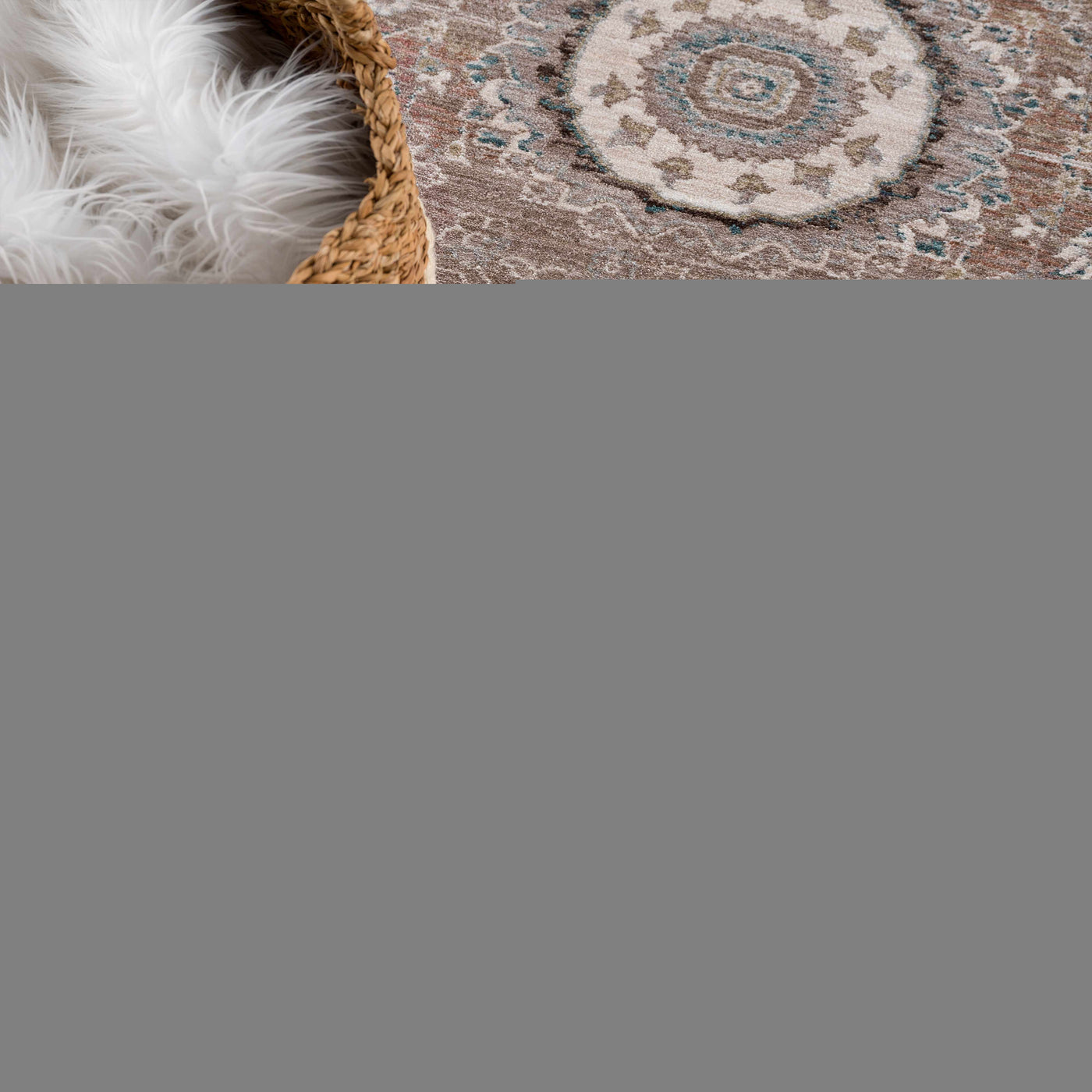 Baychester Area Rug - Clearance by Boutique Rugs