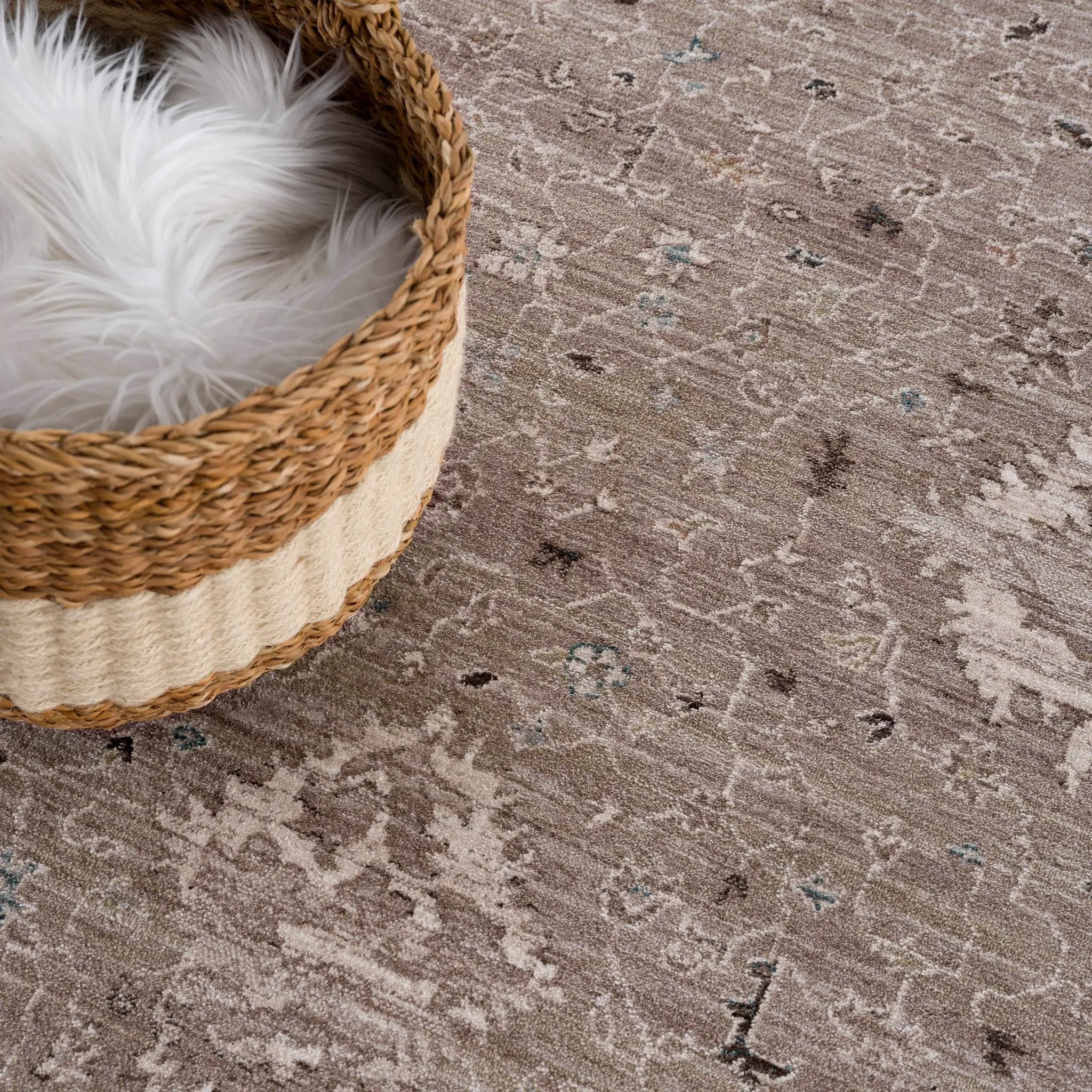 Bolitoc Area Rug - Clearance by Boutique Rugs