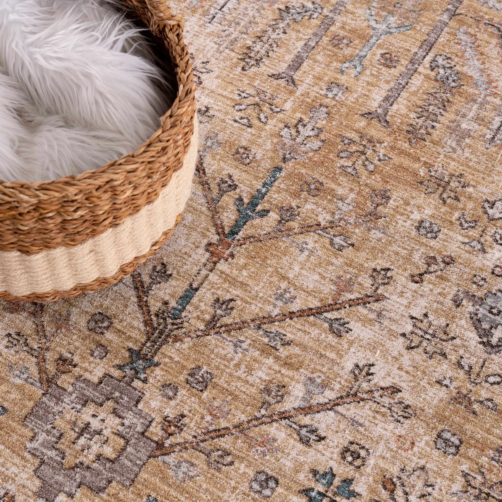 Darla Area Rug - Clearance by Boutique Rugs