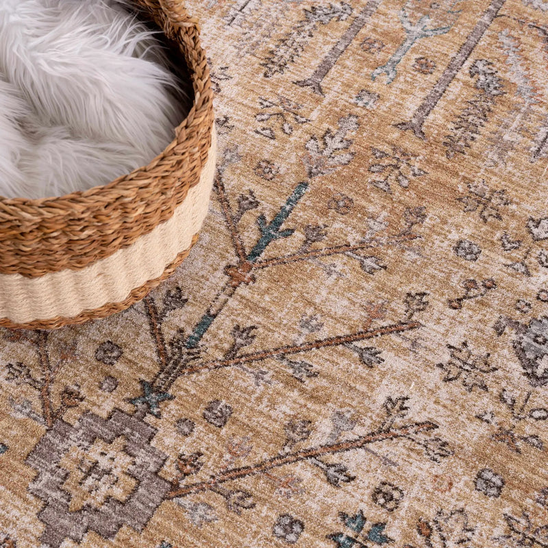 Darla Area Rug - Clearance by Boutique Rugs