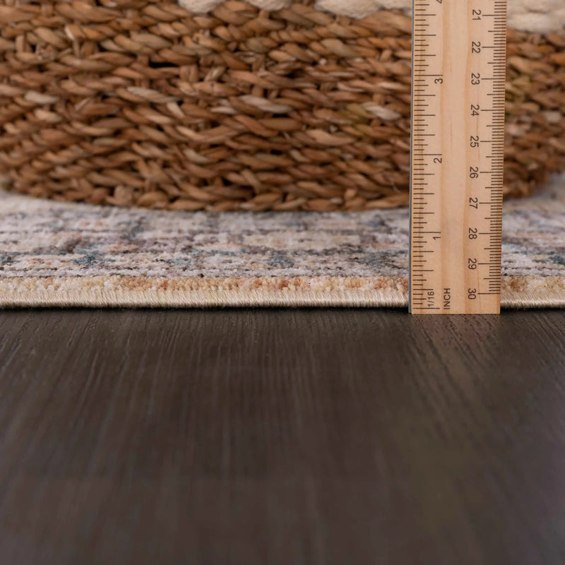 Darla Area Rug - Clearance by Boutique Rugs