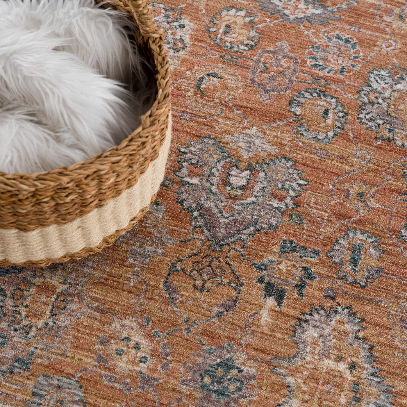 Cayla Area Rug - Clearance by Boutique Rugs