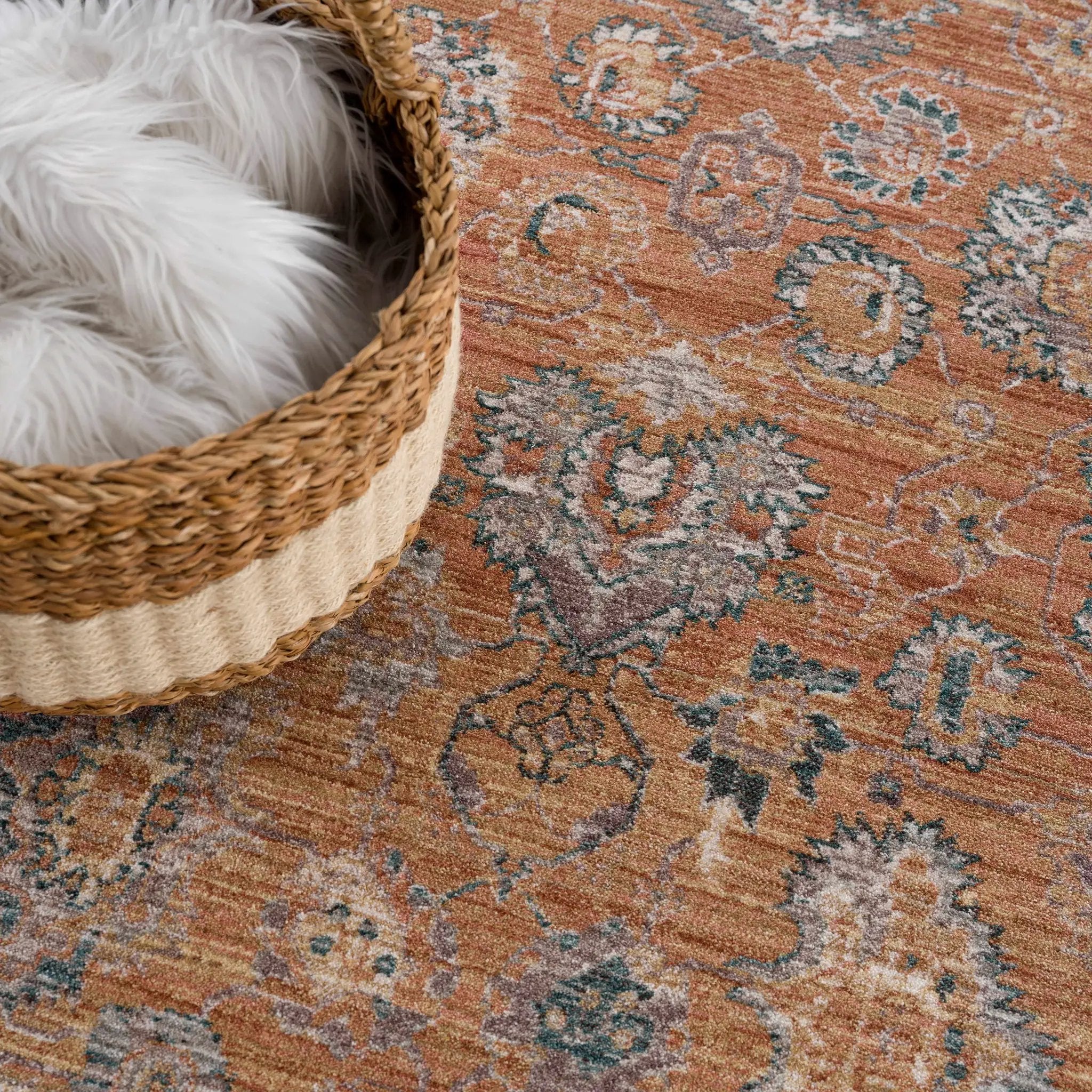 Cayla Area Rug - Clearance by Boutique Rugs